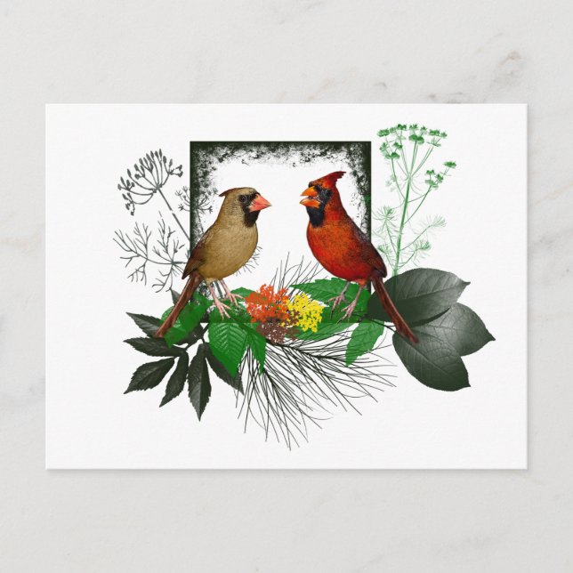 Kardinal Ecke Postkarte (Vorderseite)
