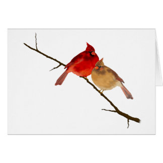 Kardinal einer Zweigniederlassung