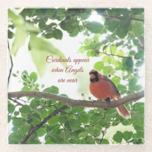 Kardinal erscheinen, wenn Engel in der Nähe sind Glasuntersetzer