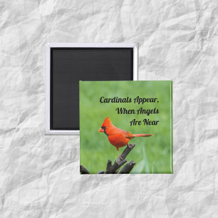 Kardinal erscheint in der Nähe von Magnet-Dekorati Magnet