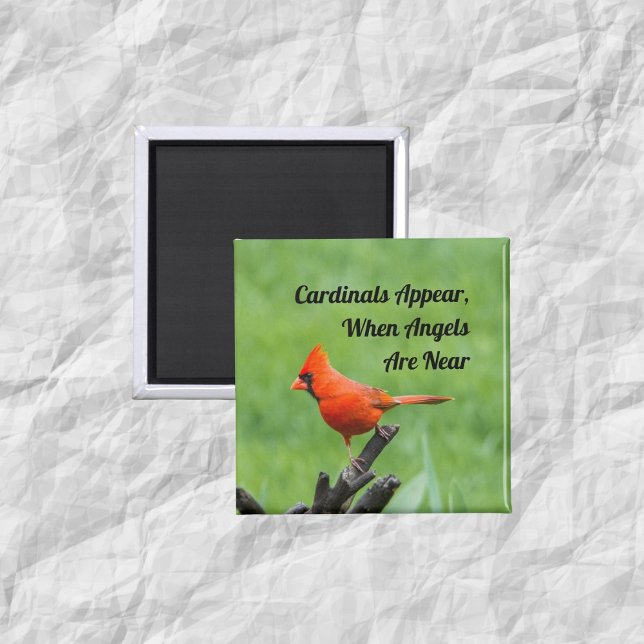 Kardinal erscheint in der Nähe von Magnet-Dekorati Magnet (Von Creator hochgeladen)