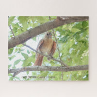 Kardinal Fledgling, Vogelliebhaber