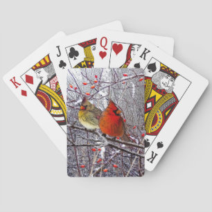 Kardinal Forest Spielkarten