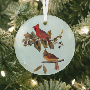 Kardinal Grosbeak Audubon Birds of America Ornament Aus Glas