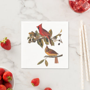 Kardinal Grosbeak Audubon Birds of America Serviette