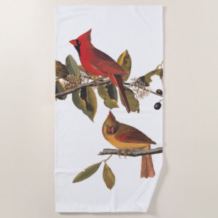 Kardinal Grosbeak Audubon Birds of America Vintag Strandtuch