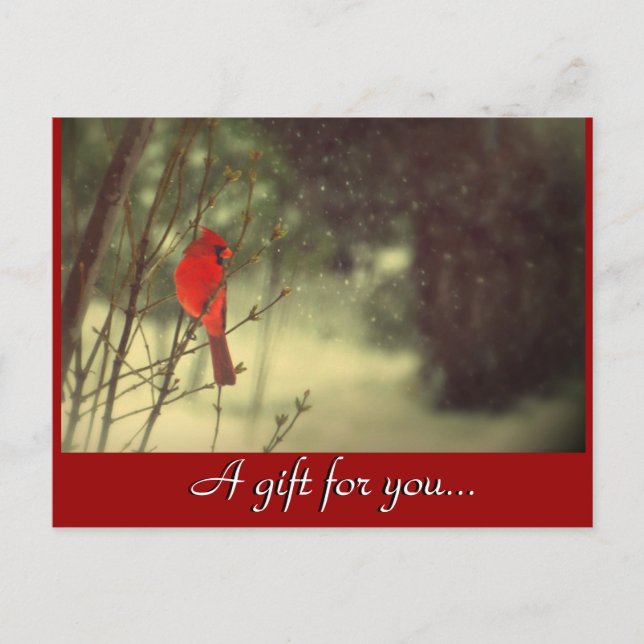 Kardinal Holiday Geschenkgutschein Postkarte (Vorderseite)