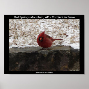Kardinal Hot Springs Nat. Park Mountain Poster II