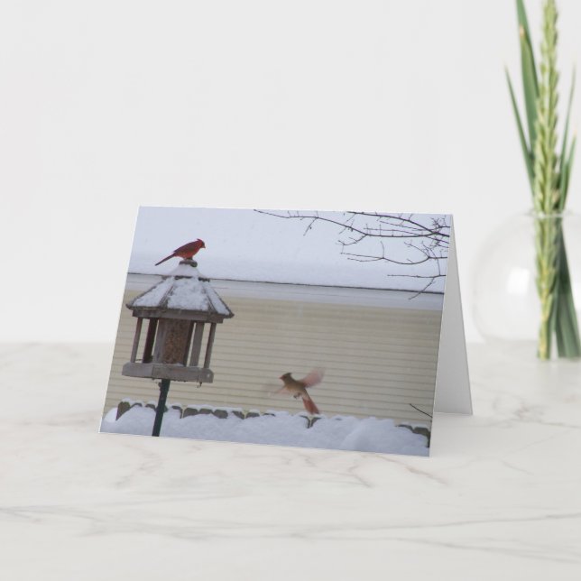 Kardinal im Flug Feiertagskarte (Vorderseite)