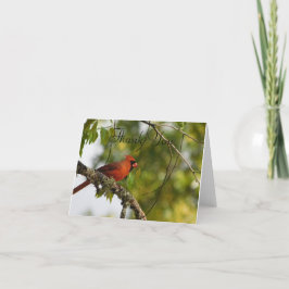 Kardinal im Frühjahr FL Dankeskarte