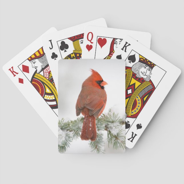 Kardinal im Norden auf dem Blue Atlas Cedar Spielkarten (Rückseite)