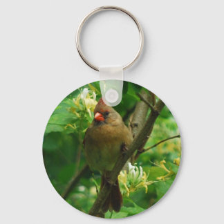 Kardinal im Schlüsselanhänger für Honigsaukeln
