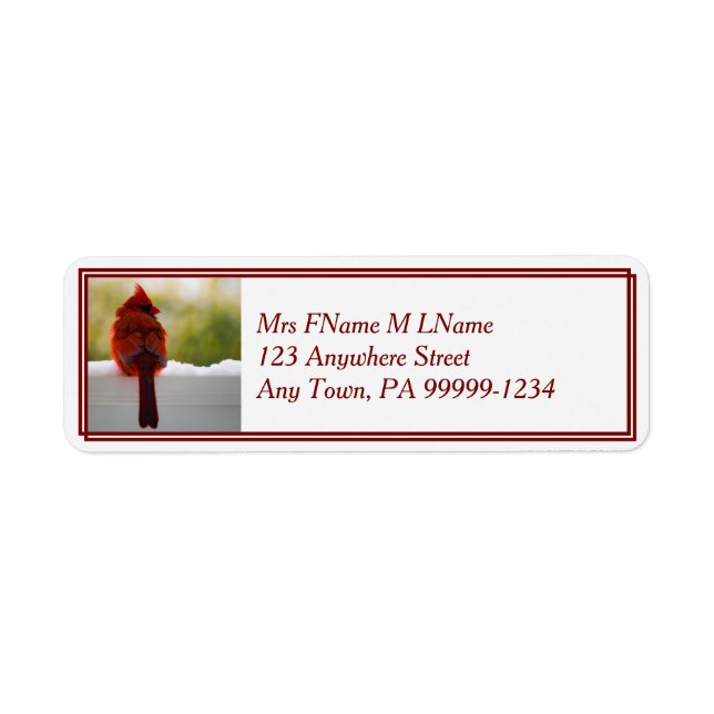 Kardinal im Schnee (Vorne)