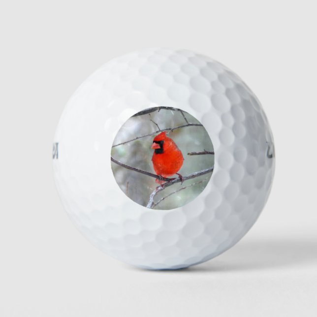 Kardinal im Schnee Golfball (Vorderseite)