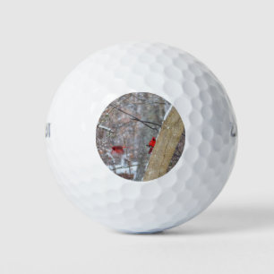 Kardinal im Schnee Golfball