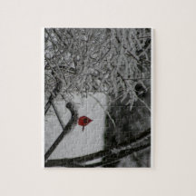 Kardinal im Schnee ruhen