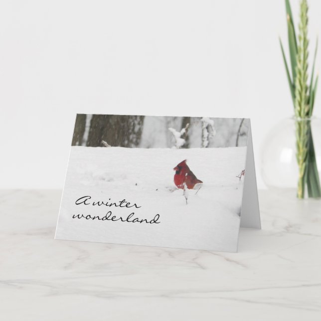 Kardinal im Winterschnee Weihnachten (Vorderseite)