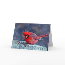 Kardinal in den Schneegrüßkarten