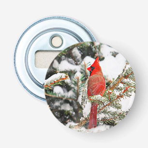 Kardinal in einem Kiefernbaum Flaschenöffner