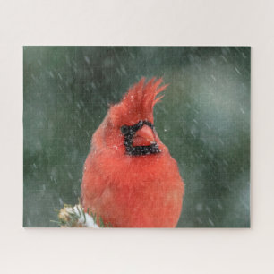 Kardinal in einem Kiefernbaum während eines Schnee Puzzle