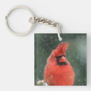 Kardinal in einem Kiefernbaum während eines Schnee Schlüsselanhänger