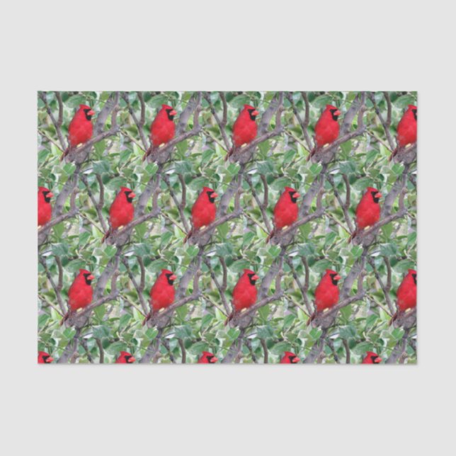 Kardinal in einem Zitronenbaum 2 - Gewebepapier Seidenpapier (Vorderseite)