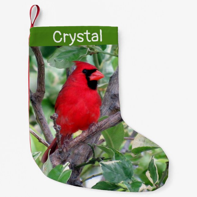 Kardinal in einem Zitronenbaum - Personalisiert Kleiner Weihnachtsstrumpf (Vorderseite)