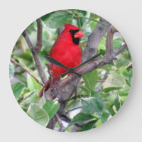 Kardinal in einem Zitronenbaum - Vogeluhr im Hinte
