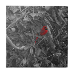 Kardinal in einer Baumfliese Fliese