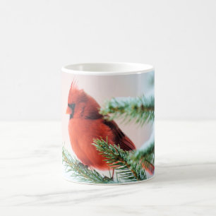 Kardinal in Schnee abgewischter Tanne Kaffeetasse