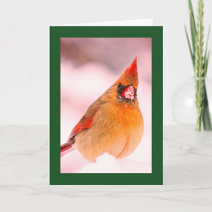 KARDINAL IN SCHNEEBLANK CHRISTMAS CARD