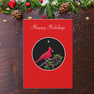 Kardinal in Schwarz und Rot