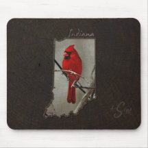 Kardinal Indiana herausgeschnitten auf hölzernem