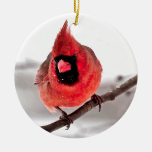 Kardinal Keramikornament
