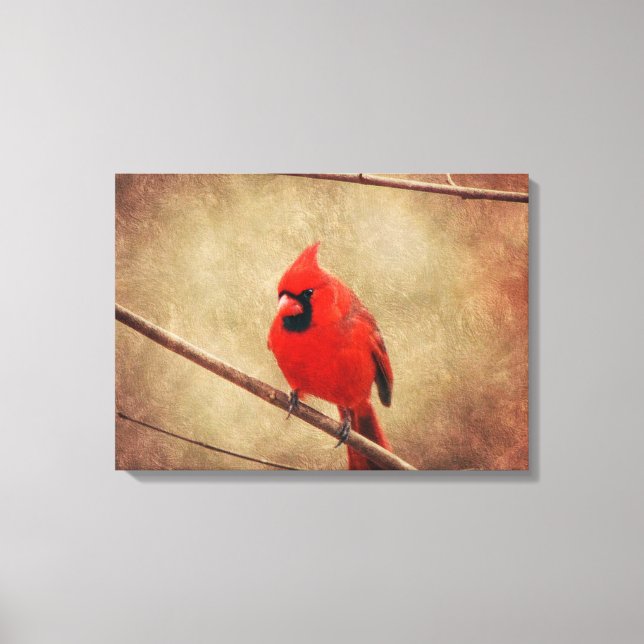 Kardinal Leinwanddruck (Vorderseite)