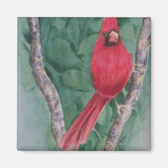 Kardinal Magnet (Vorne)