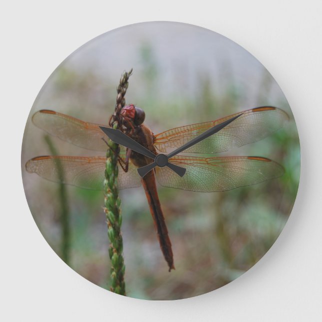 Kardinal Meadowhawk Libelle Große Wanduhr (Vorderseite)