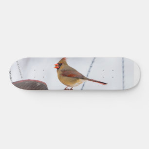 Kardinal-Mittagessen Skateboard