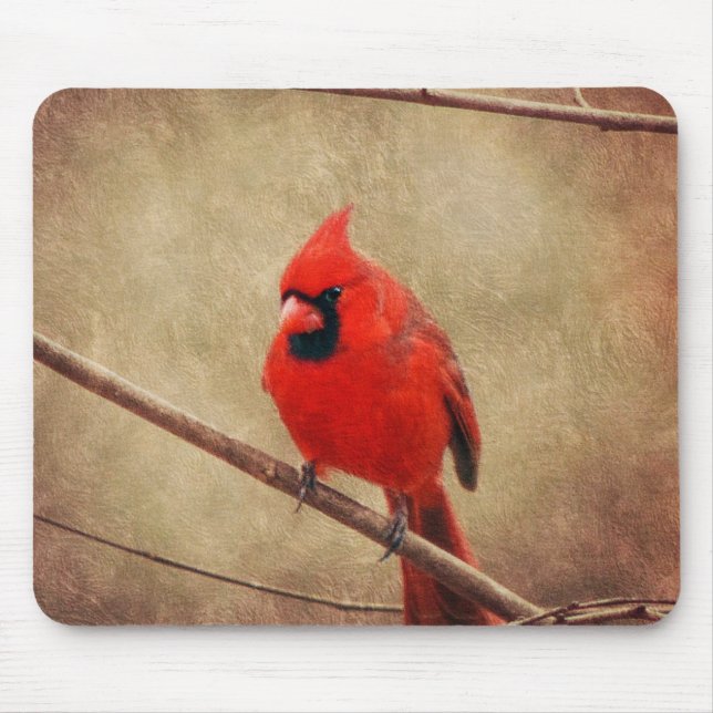 Kardinal Mousepad (Vorne)