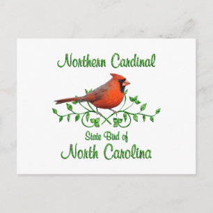 Kardinal North Carolina Bird Postkarte