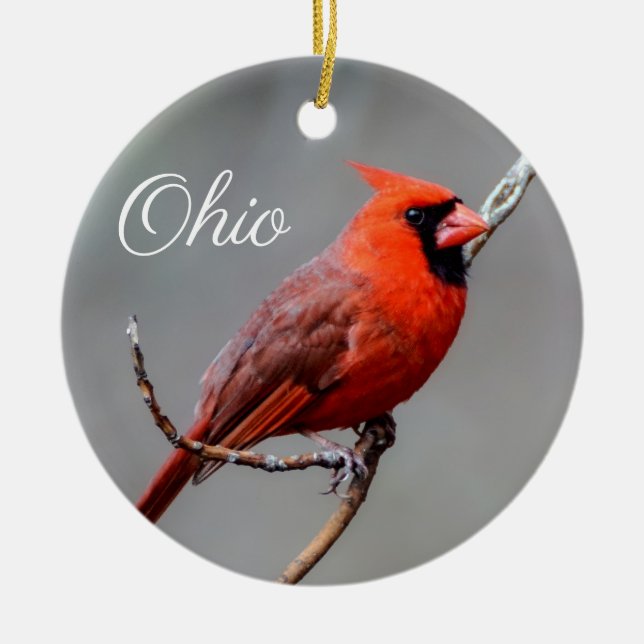 Kardinal Ohio Ornament (Vorne)