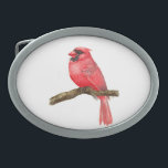 Kardinal Ovale Gürtelschnalle<br><div class="desc">Abbildung eines Kardinal-Vogels auf einem Ast,  der mit Aquarellfarben gemalt wurde,  kann man hier den Malprozess sehen: http://bit.ly/2zCeRZe</div>