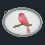 Kardinal Ovale Gürtelschnalle<br><div class="desc">Abbildung eines Kardinal-Vogels auf einem Ast, der mit Aquarellfarben gemalt wurde, kann man hier den Malprozess sehen: http://bit.ly/2zCeRZe</div>