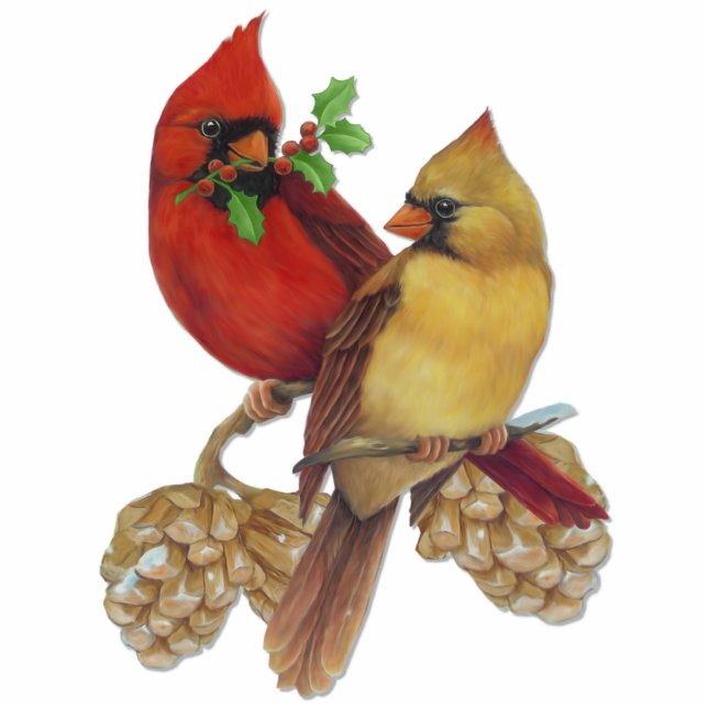 Kardinal Pair Freistehende Fotoskulptur (Vorne)