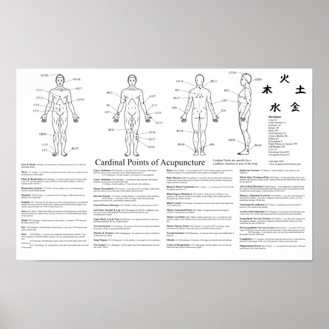 Kardinal Points of Acupuncture Poster (Vorne)