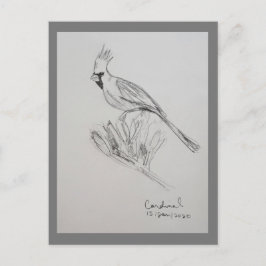 Kardinal Postkarte