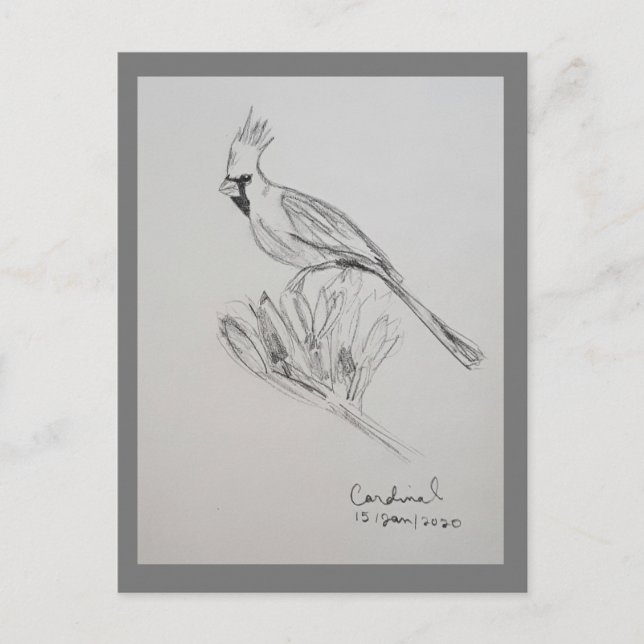 Kardinal Postkarte (Vorderseite)