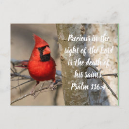 Kardinal Postkarte Psalm 116:15