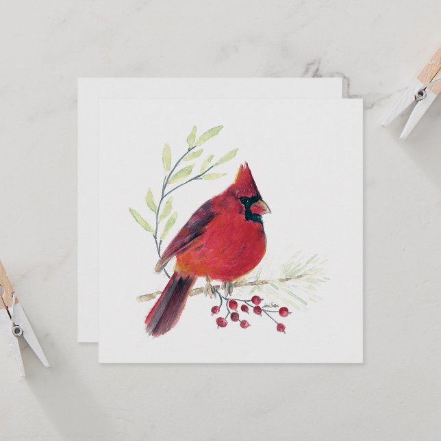 Kardinal Red Bird Art (Beautiful Red Cardinal Watercolor Colored Pencil Blank Note Cards from Jenn Steffen Art)