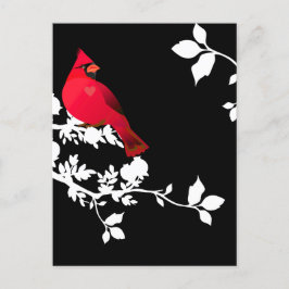 Kardinal Red Bird Schwarz-weiß Moderne Begrüßung Postkarte